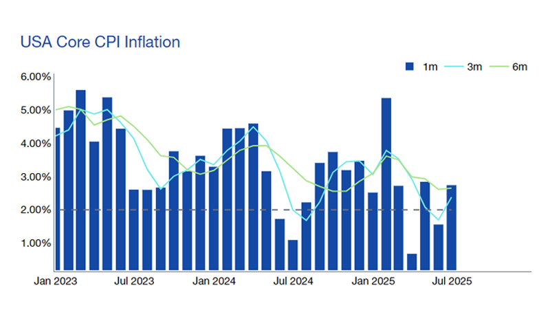 The Biggest Risk Taker